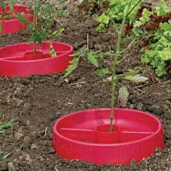 Tomato Crater, 3-pack 21 Tomato Crater, 3-pack -Gardening Supplies tc3 7