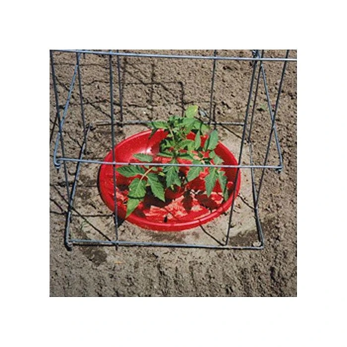 Tomato Crater, 3-pack 11 Tomato Crater, 3-pack - Image 9