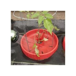 Tomato Crater, 3-pack 23 Tomato Crater, 3-pack -Gardening Supplies tc3 9
