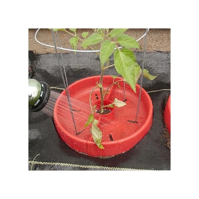 Tomato Crater, 3-pack 12 Tomato Crater, 3-pack - Image 10