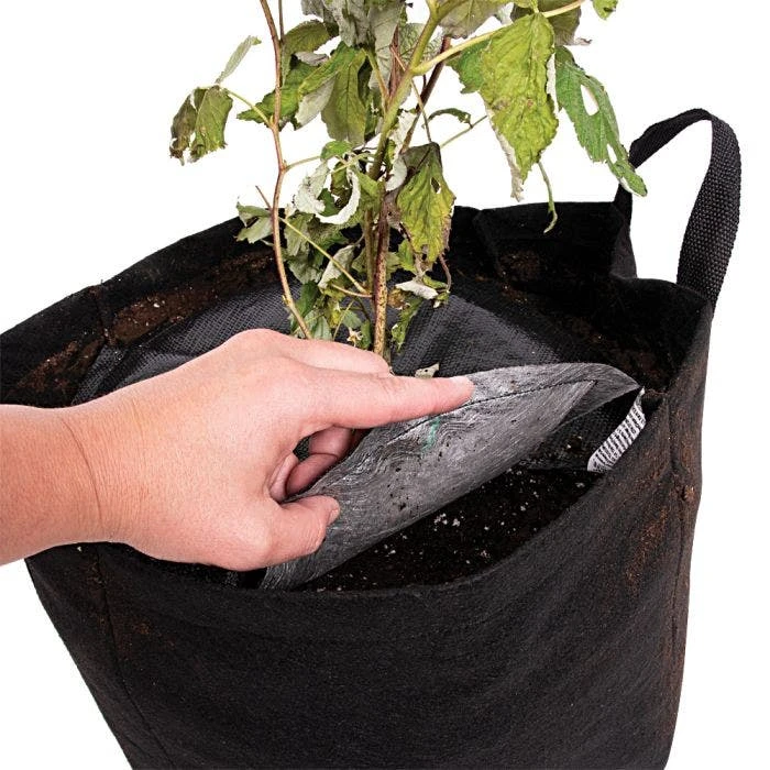 TreeDiaper® Twin Pack, 14-Inch Diameter 5 TreeDiaper® Twin Pack, 14-Inch Diameter - Image 3