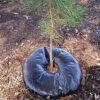 TreeDiaper®, 24", Round -Gardening Supplies td24
