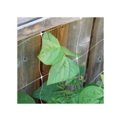 Trellis Netting, 5ft X 328ft -Gardening Supplies tn5328 10