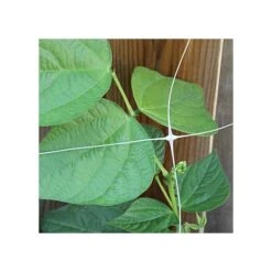 Trellis Netting, 5ft X 328ft -Gardening Supplies tn5328 9