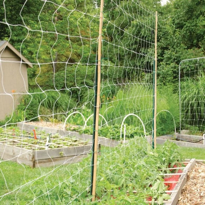 Trellis Netting 6.5ft X 100ft 14 Trellis Netting 6.5ft X 100ft - Image 12