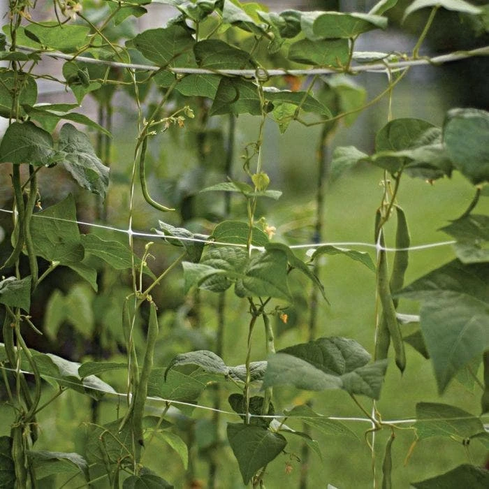 Trellis Netting 6.5ft X 100ft 15 Trellis Netting 6.5ft X 100ft - Image 13