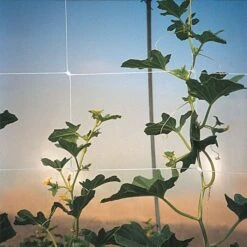 Trellis Netting, 6.5ft X 15ft -Gardening Supplies tn615 11