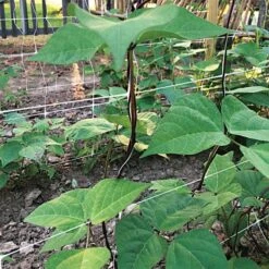 Trellis Netting, 6.5ft X 15ft -Gardening Supplies tn615 12