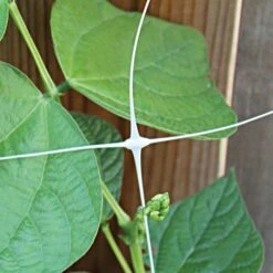 Trellis Netting, 6.5ft X 15ft -Gardening Supplies tn615 3