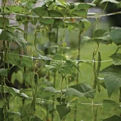 Trellis Netting, 6.5ft X 15ft -Gardening Supplies tn615 6