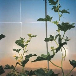 Trellis Netting, 6.5ft X 30ft -Gardening Supplies tn630 19