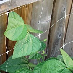 Trellis Netting, 6.5ft X 30ft -Gardening Supplies tn630 2