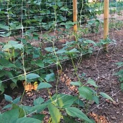 Trellis Netting 6.5ft X 50ft -Gardening Supplies tn650 2