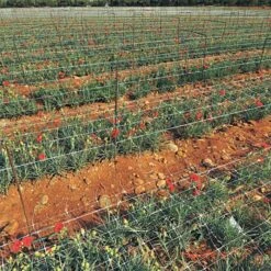 Trellis Netting 6.5ft X 50ft -Gardening Supplies tn650 5