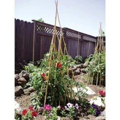 Bamboo Teepee Trellis 48in Open 44in H X 31in W -Gardening Supplies tt48 2