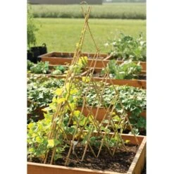 Bamboo Teepee Trellis 48in Open 44in H X 31in W -Gardening Supplies tt48 4