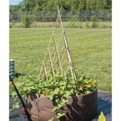 Bamboo Teepee Trellis, 60in Open, 56in H X 39in W -Gardening Supplies tt60 4