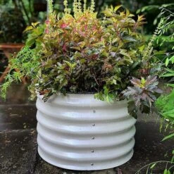 Vego 6 In 1 Modular Metal Raised Bed, Pearl White 13 Vego 6 In 1 Modular Metal Raised Bed, Pearl White -Gardening Supplies vb6n1 wh 5 1