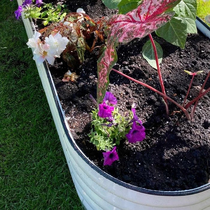 Vego 6 In 1 Modular Metal Raised Bed, Pearl White 8 Vego 6 In 1 Modular Metal Raised Bed, Pearl White - Image 6