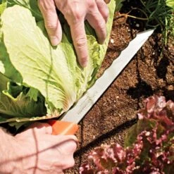 Leonard Wavy Edge Stainless Steel Cut-All Knife -Gardening Supplies vp 404xt 4