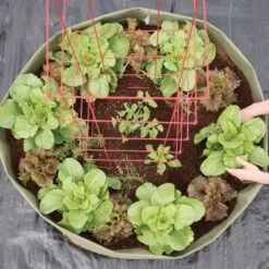 Root Pouch Non-Degradable Mega Grow Bag Raised Bed -Gardening Supplies vp boxerbed 5