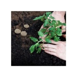 Grotab 3-in-1 Premium Plant Starter (12-8-4) 11 Grotab 3-in-1 Premium Plant Starter (12-8-4) -Gardening Supplies vp gt 3