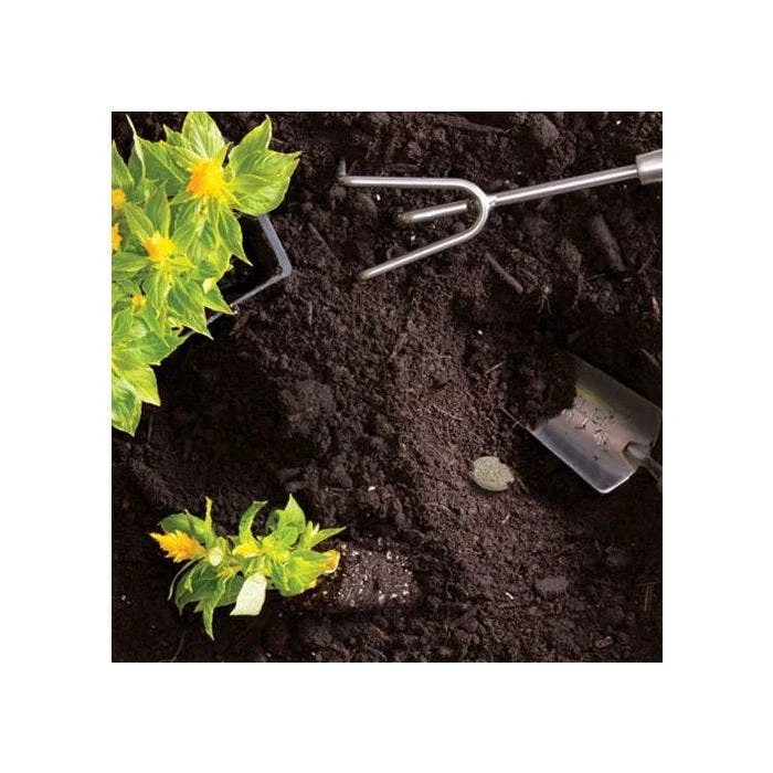 Grotab 3-in-1 Premium Plant Starter (12-8-4) 7 Grotab 3-in-1 Premium Plant Starter (12-8-4) - Image 5