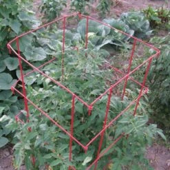 Tomato Cages, 48in X 14in, 3-Pack -Gardening Supplies vp tc48 2