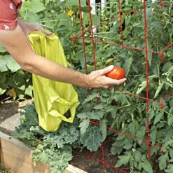 Tomato Cages, 48in X 14in, 3-Pack -Gardening Supplies vp tc48 4