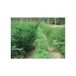 WeedGuardPlus Biodegradable Weed-Suppressing Mulch -Gardening Supplies wg355 3