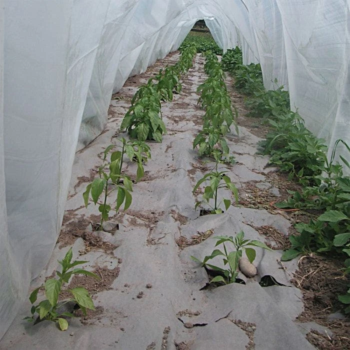 Biodegradable Paper Mulch, 3 Feet X 250 Feet 4 Biodegradable Paper Mulch, 3 Feet X 250 Feet - Image 2