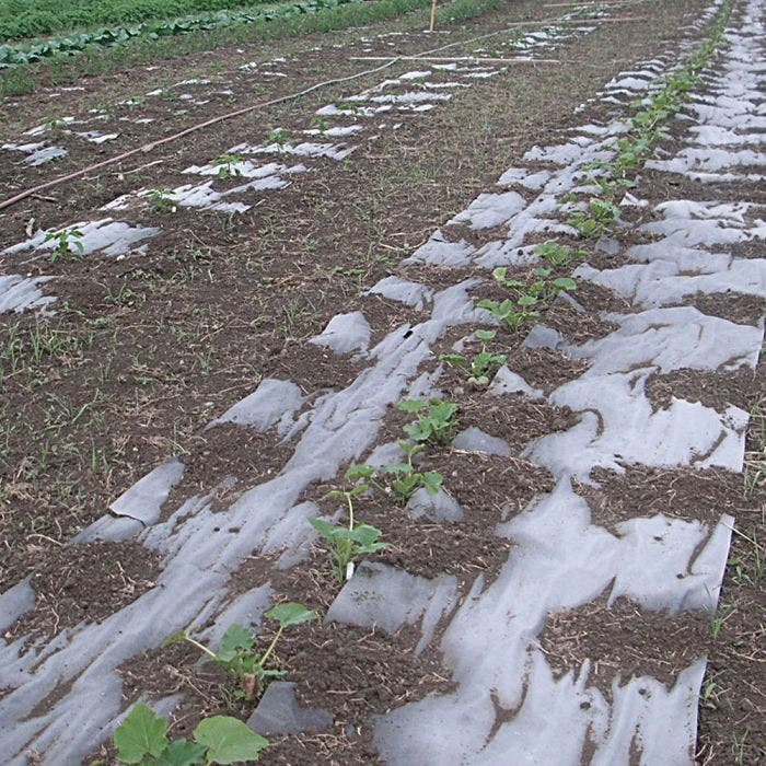 Biodegradable Paper Mulch, 3 Feet X 250 Feet 11 Biodegradable Paper Mulch, 3 Feet X 250 Feet - Image 9