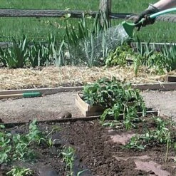 Biodegradable Paper Mulch, 4 Feet By 250 Feet 16 Biodegradable Paper Mulch, 4 Feet By 250 Feet -Gardening Supplies wg48250f 5