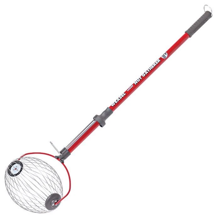 Large Weasel Nut Gatherer 4 Large Weasel Nut Gatherer - Image 2