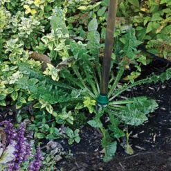 Weed Wand Magic Applicator -Gardening Supplies wwa 2